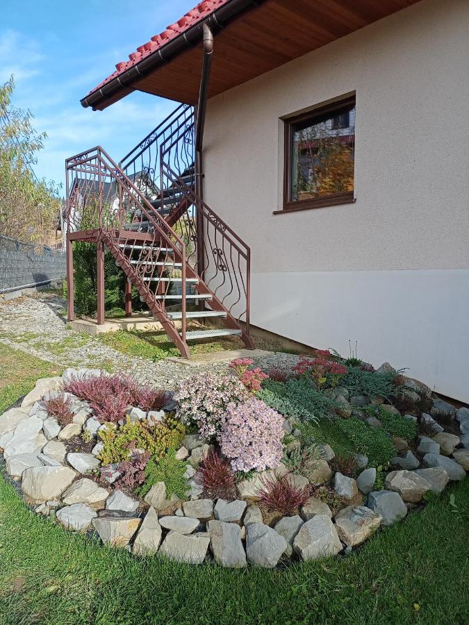 Hortensjowy Zakatek W Pieninach * Sromowce Wyzne